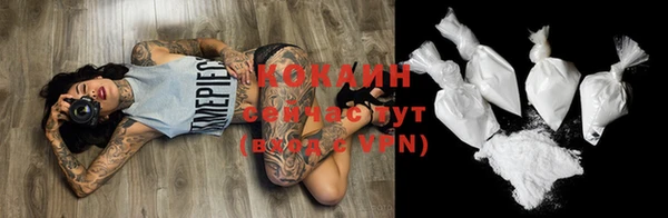 прущие грибы Бородино