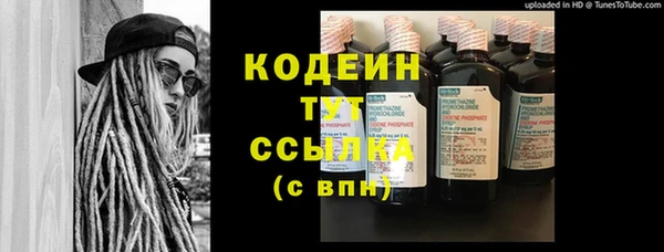 прущие грибы Бородино