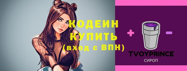 прущие грибы Бородино
