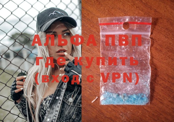 прущие грибы Бородино