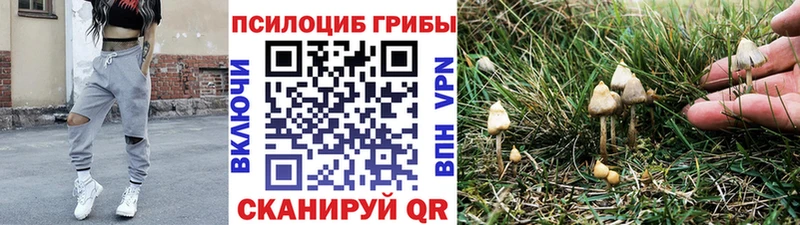 как найти   Реутов  blacksprut ССЫЛКА  Галлюциногенные грибы MAGIC MUSHROOMS 